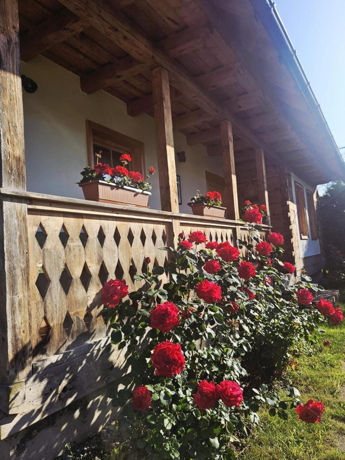 Cabană cu 3 dormitoare