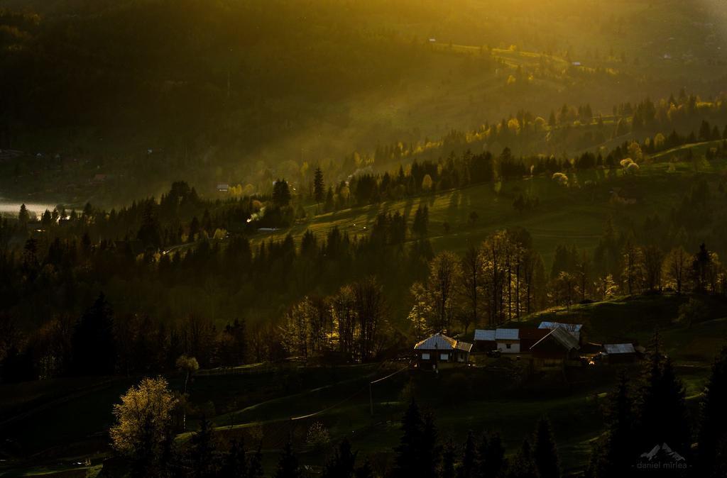 Cameră dublă cu vedere la munte