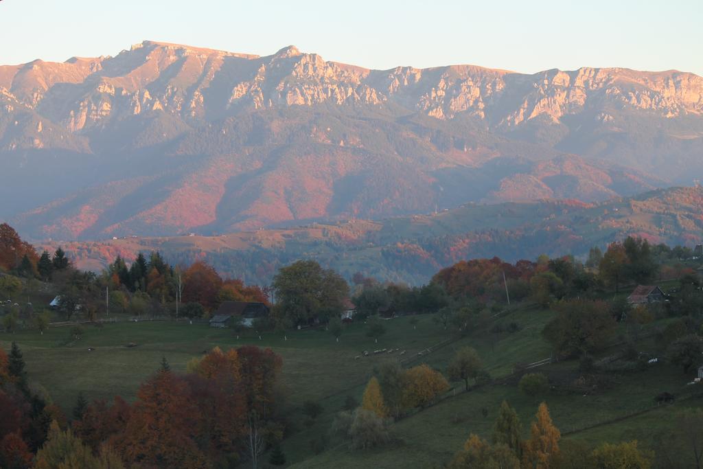 Casă de vacanță