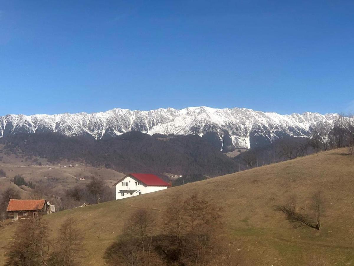 Casă cu 4 dormitoare
