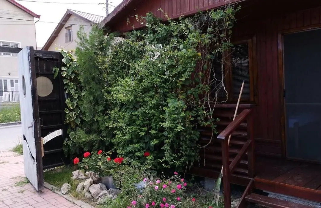 Casa Cris Will-1