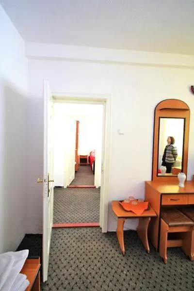 Hotel Brandusa-1