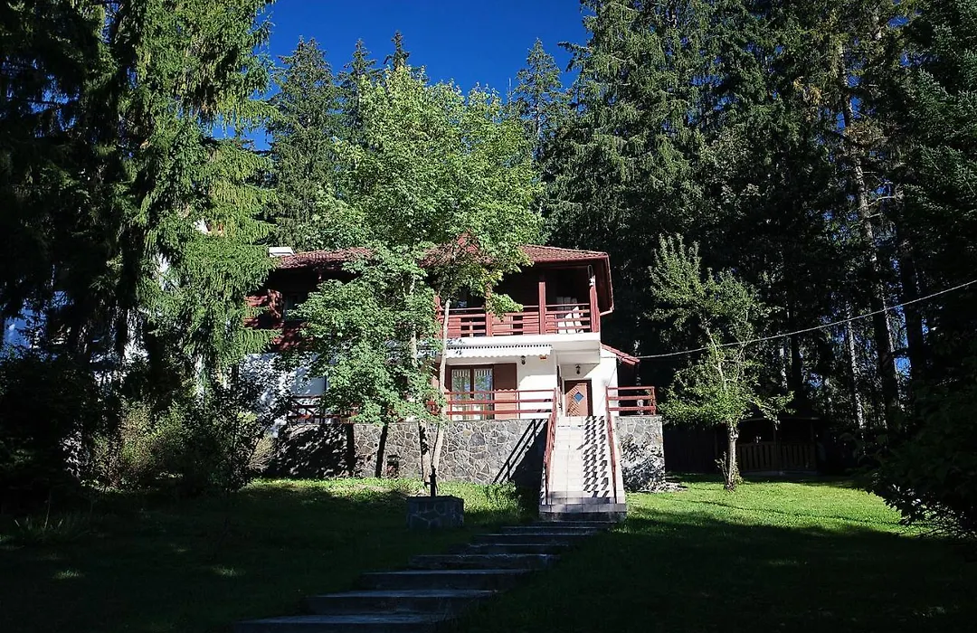 Vila Carolyne-1