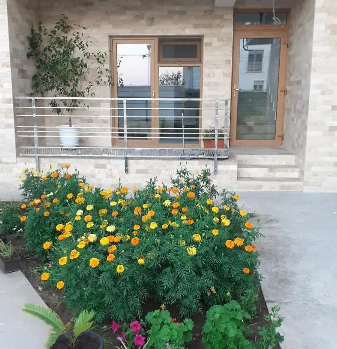 Vila Irina-1