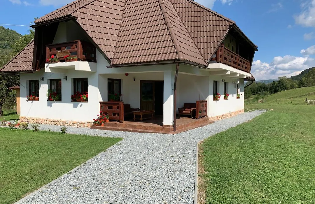 Pensiunea Casa Iancului-1