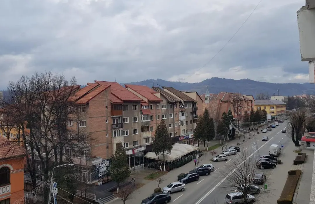 Garsoniera Mihaela-1