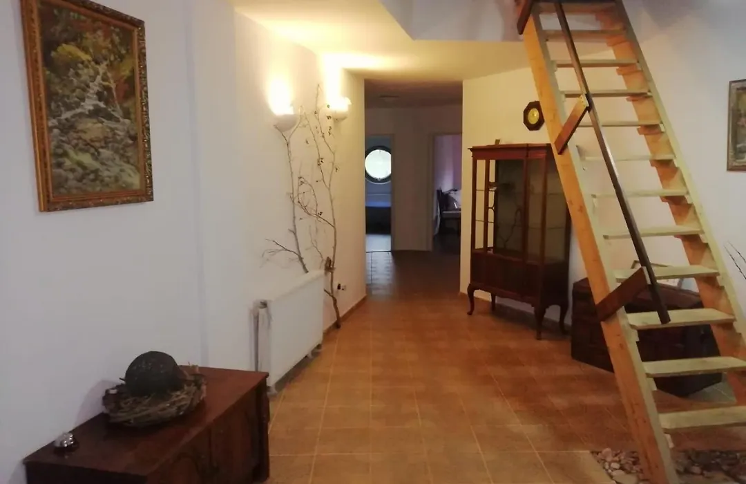 Domurile din Zărnești-1