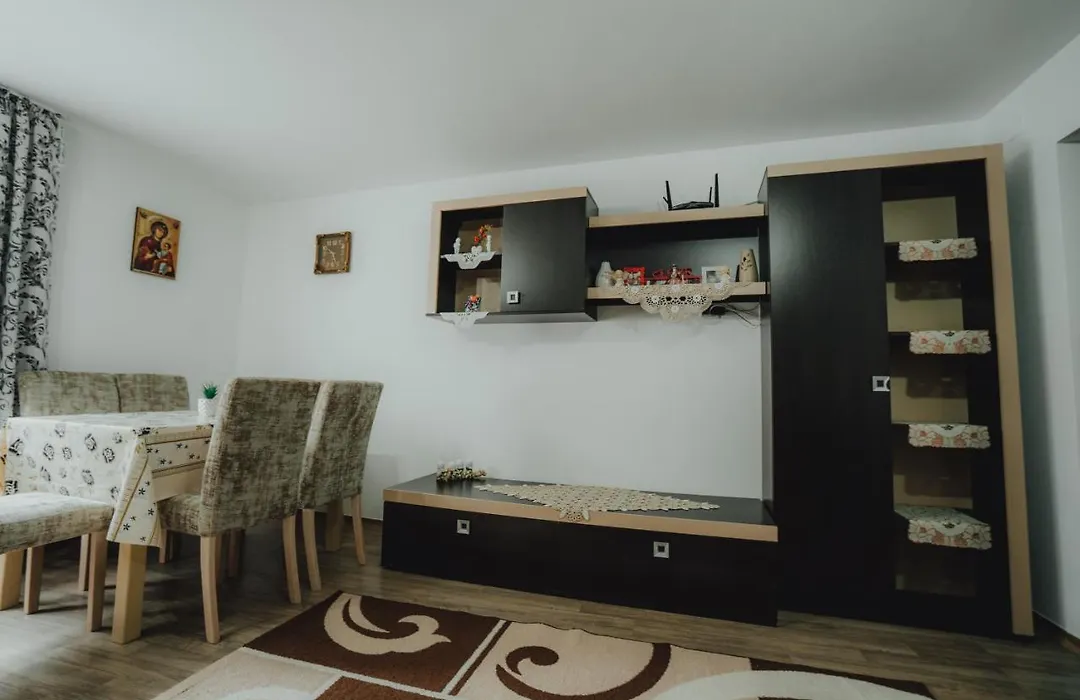 Casa Andreea și Grigore Ursu-1