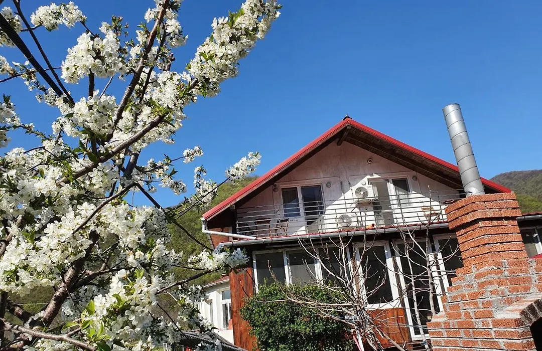 Vila Di Pau (Adults Only)-1