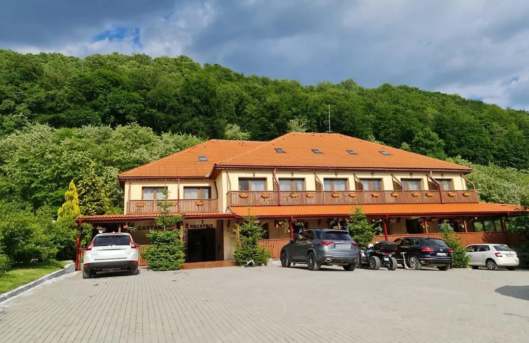 Pensiunea Castania - Pensiune cu piscina la munte-1