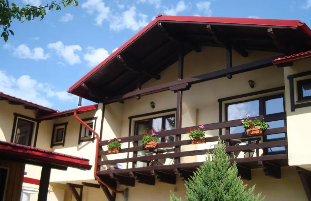 Casa cu Flori-1