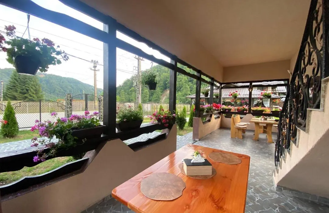Pensiunea Perla Râușor-1