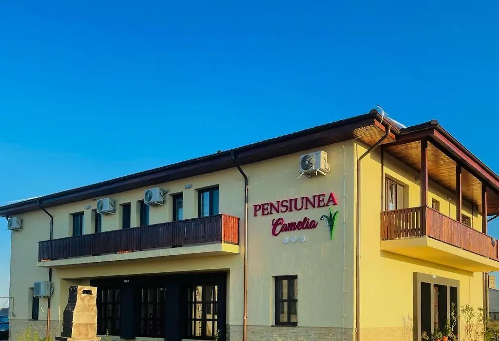 Pensiunea Camelia-1