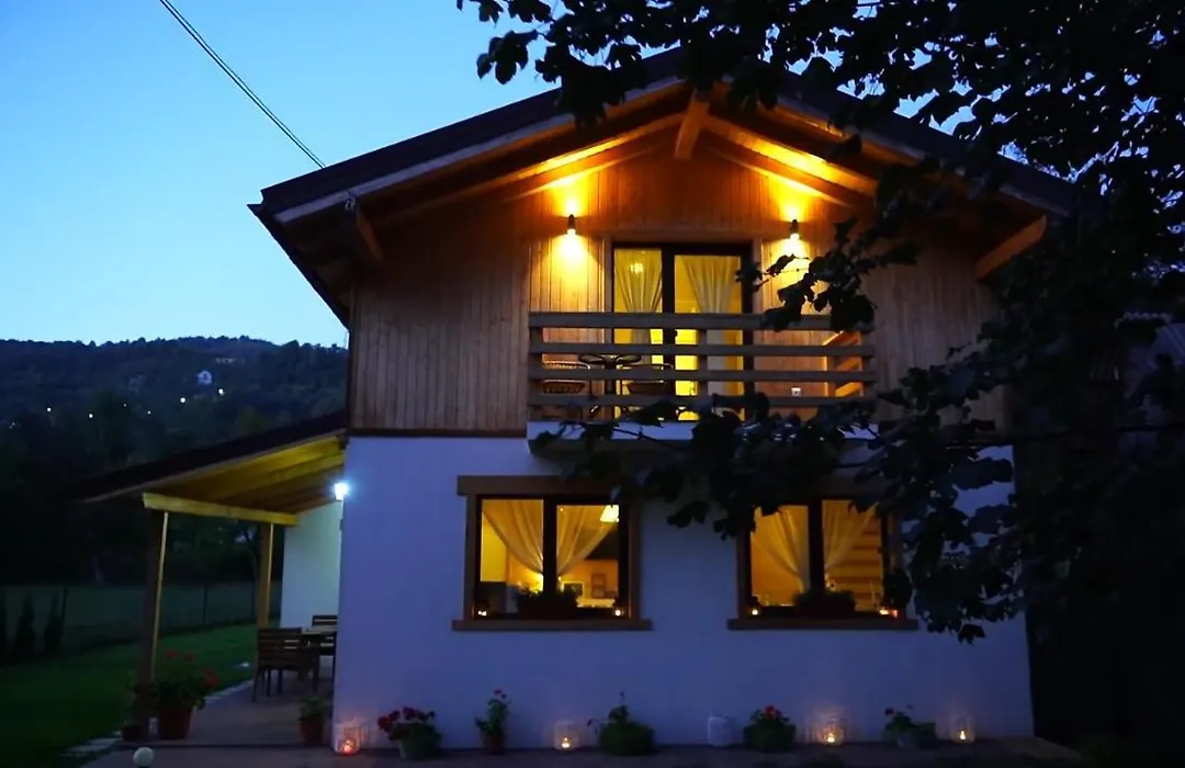 Guest House Carpathia-1