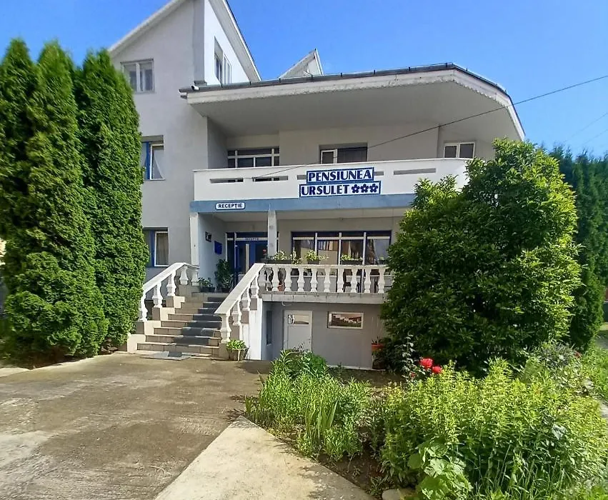 Pensiunea Ursulet-1