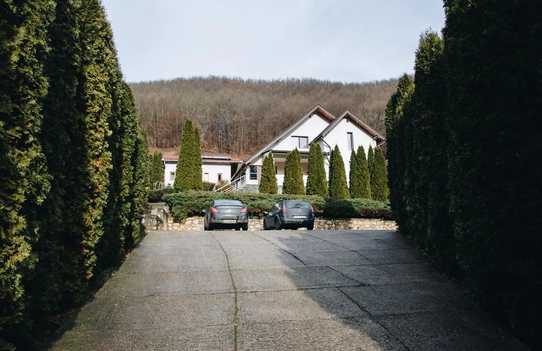 Casa dintre Brazi Hunedoara-1