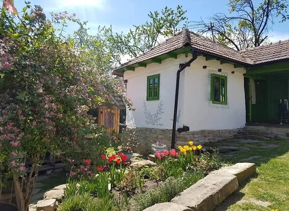 Tinutul Luanei Glamping Resort-1