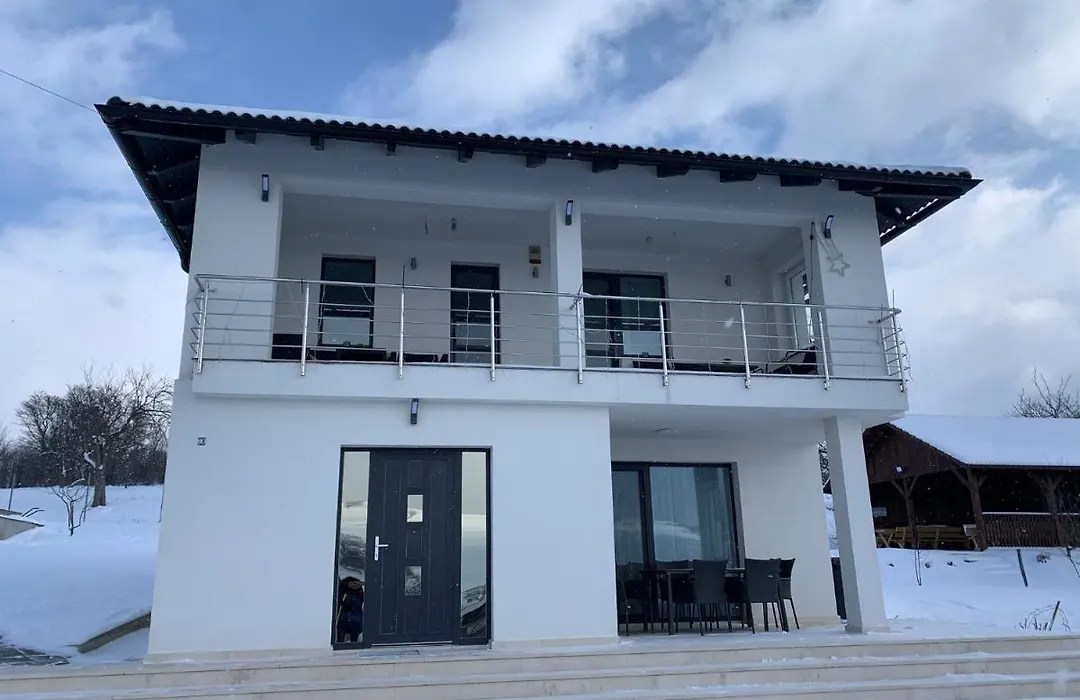 Viktoria House-1