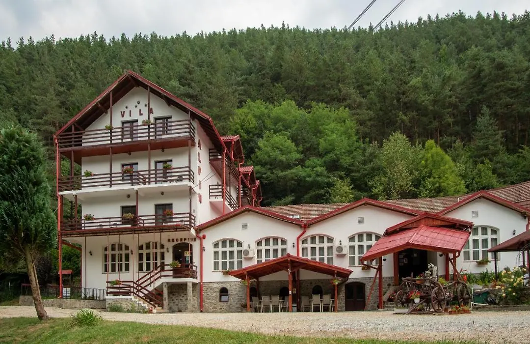 Pensiunea Alpin-1