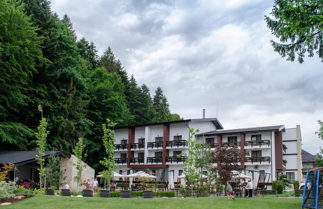 Piatra Pinului Ski & Spa-1