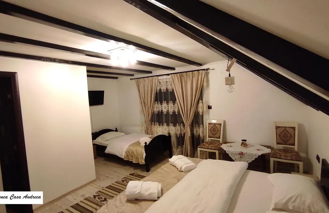 Pensiunea Casa Andreea - Bârsana Maramureș-1