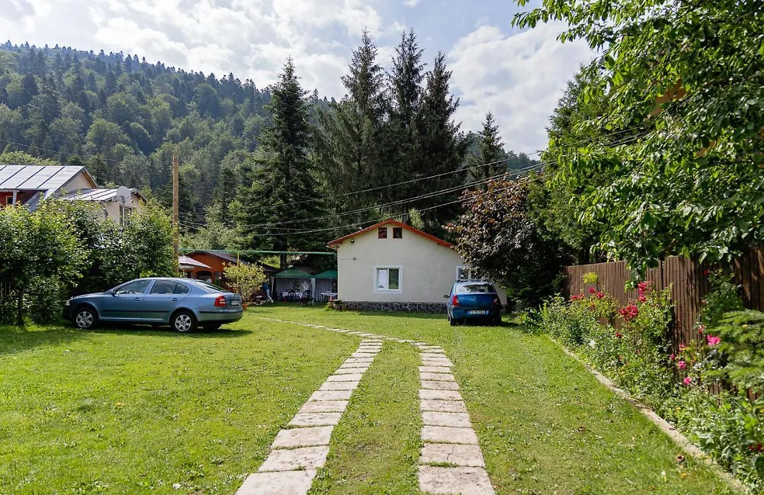 Pensiunea Montan Busteni-1