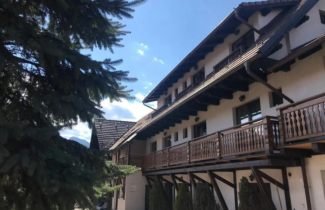 Pensiunea Haiduc Sacele Brasov-1
