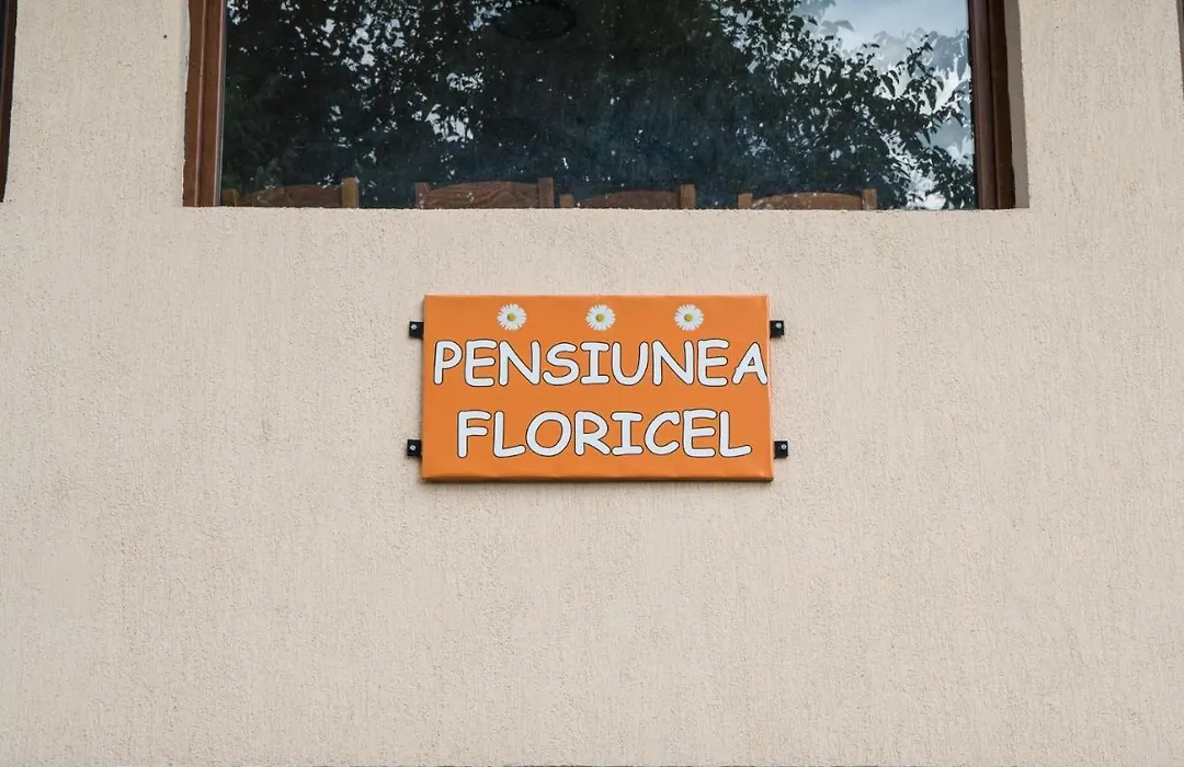 Pensiunea Floricel-1