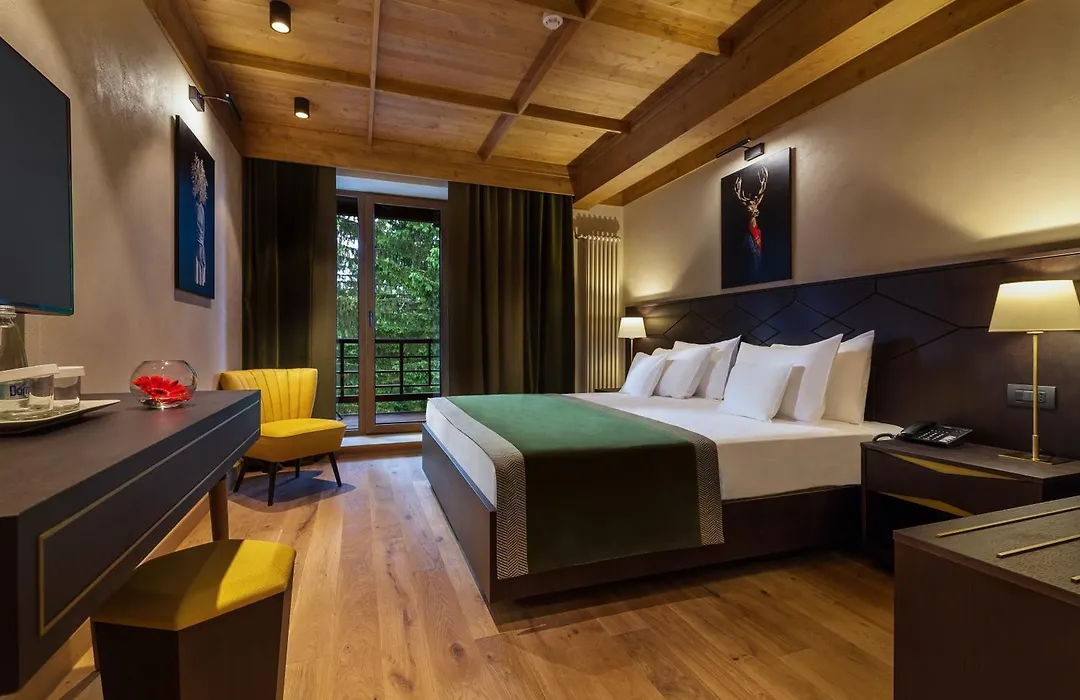 Ana Hotels Bradul Poiana Brasov-1