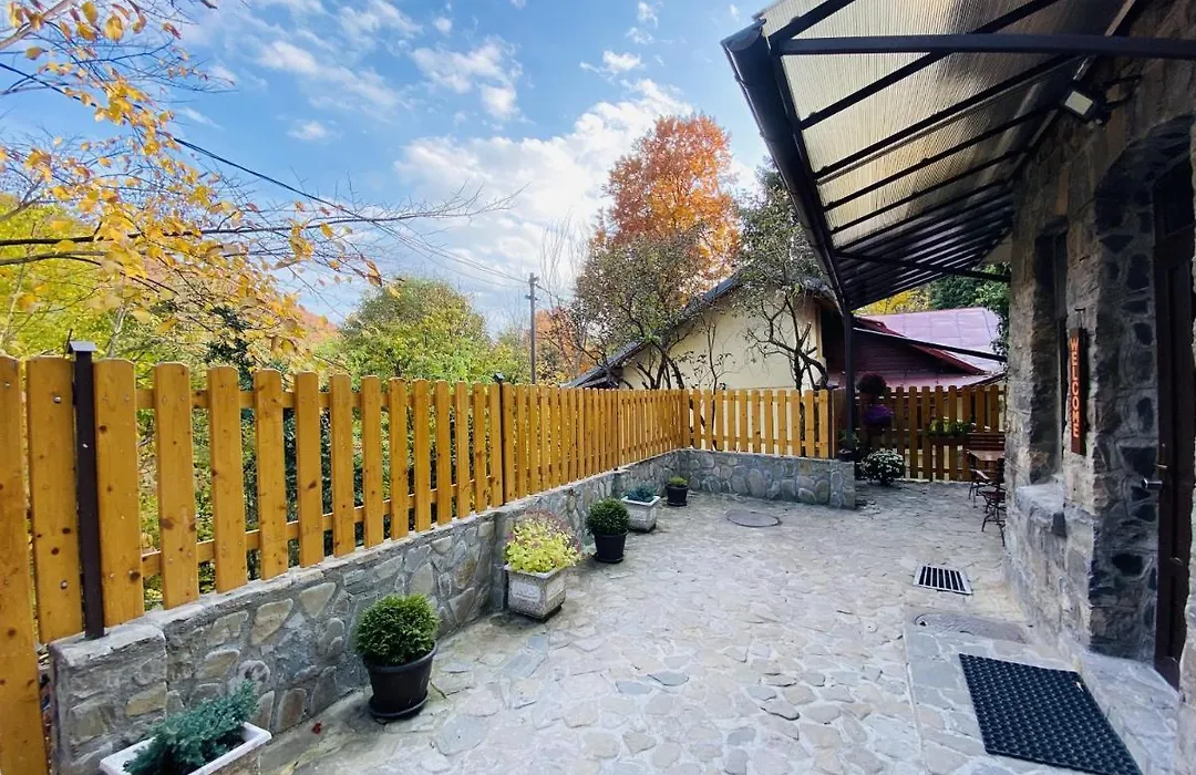 Apartment Carol Private Yard With Barbeque And Parking-1