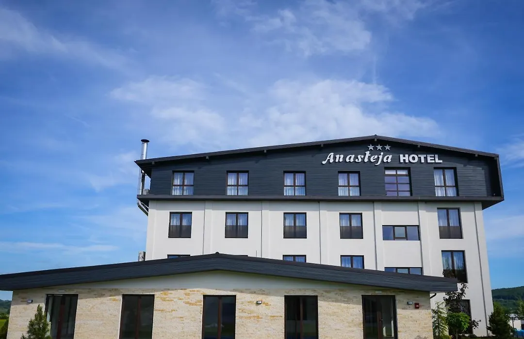 Hotel Anasteja-1