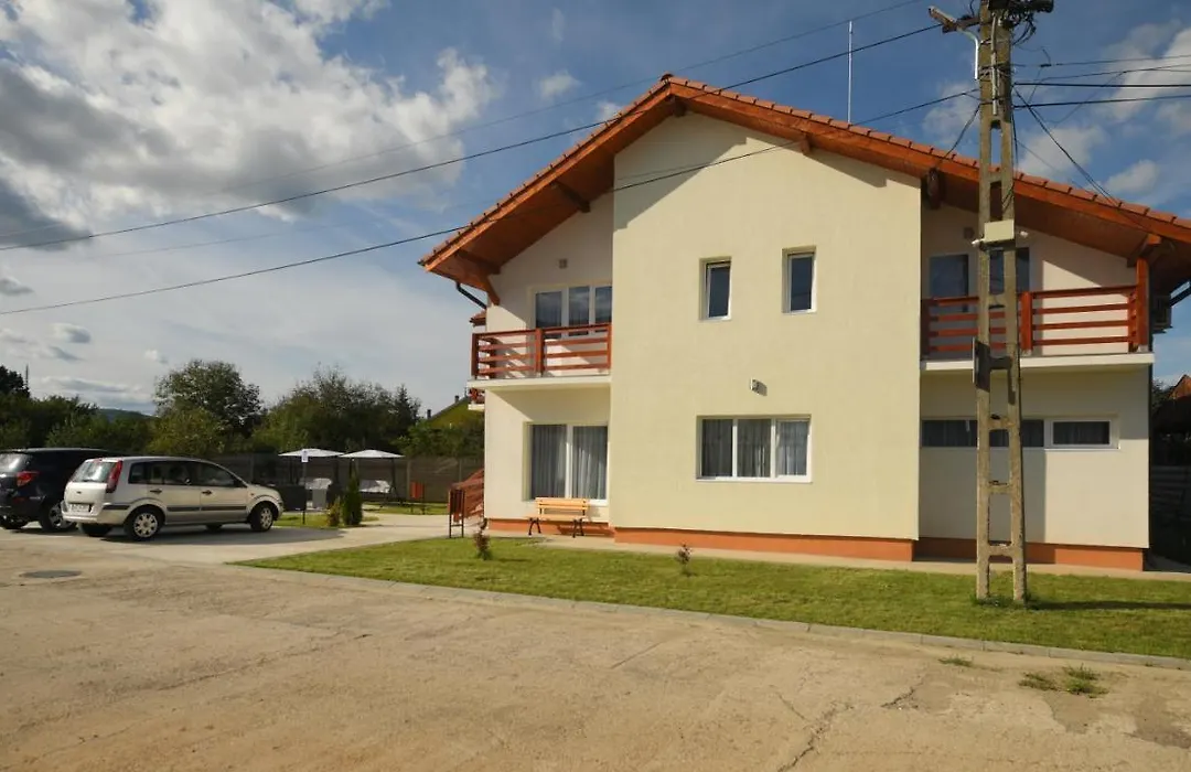 Pensiunea HERA Hațeg-1