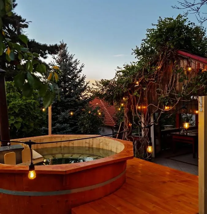 Vila cu Ciubar&Jacuzzi - Sunset Hill House-1