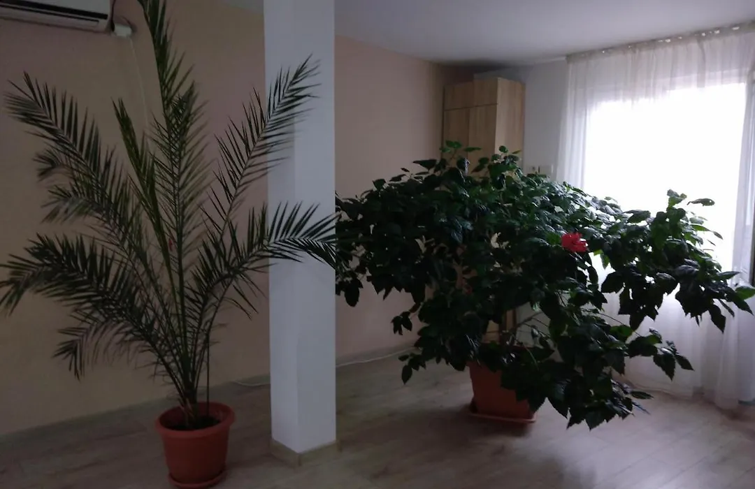 Pensiunea Casa Rusu-1