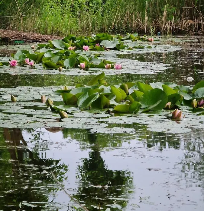 Garden By The Lake-1