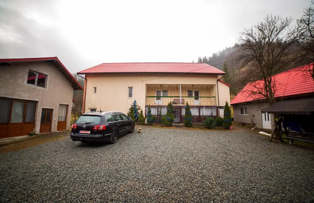 Casa Cosmina Arieseni-1