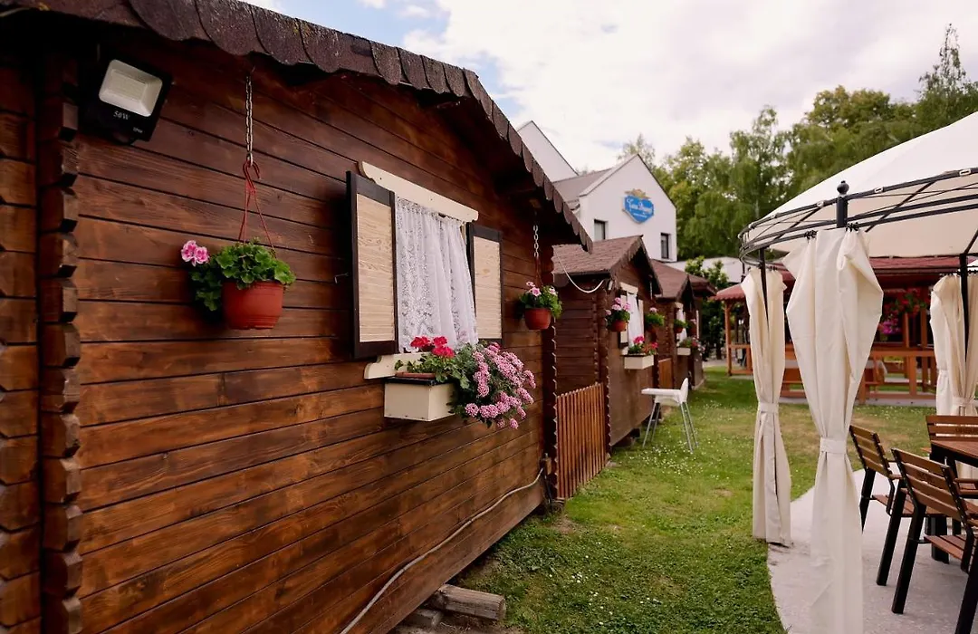 Pensiunea Casa Doamnei Voronet-1