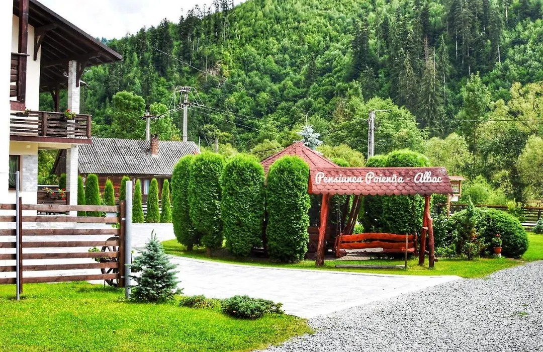 Pensiunea Poienita Apusenilor-1