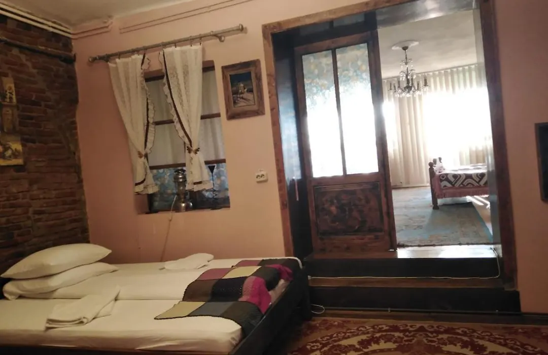 Pensiunea Lelila Inn-1
