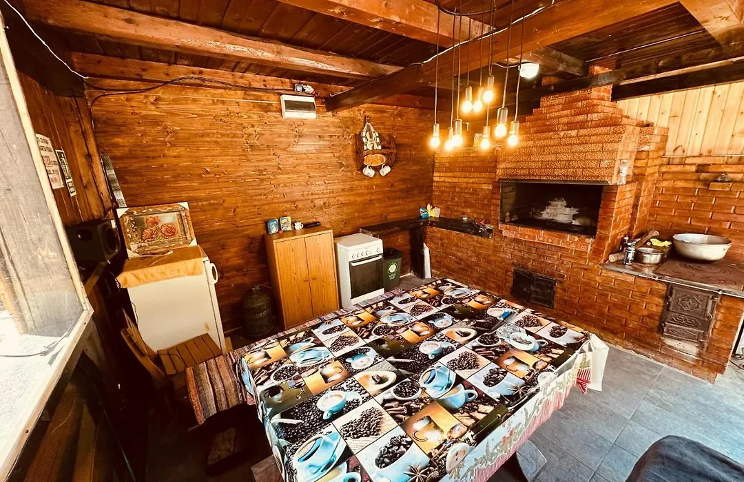 Casa Voronet-1