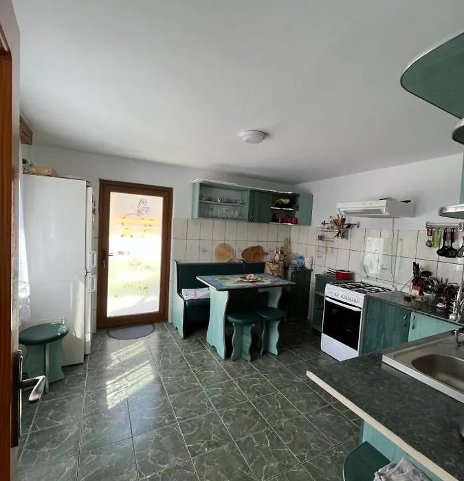 Pensiunea Casa Ana-1