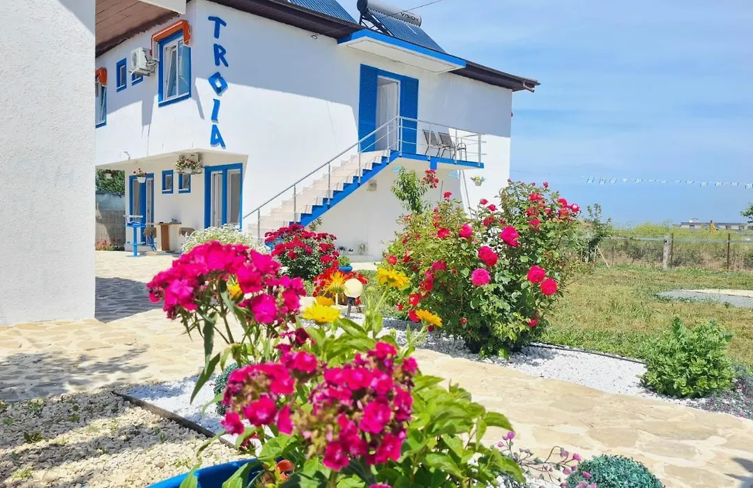 Vila Troia Vama Veche-1