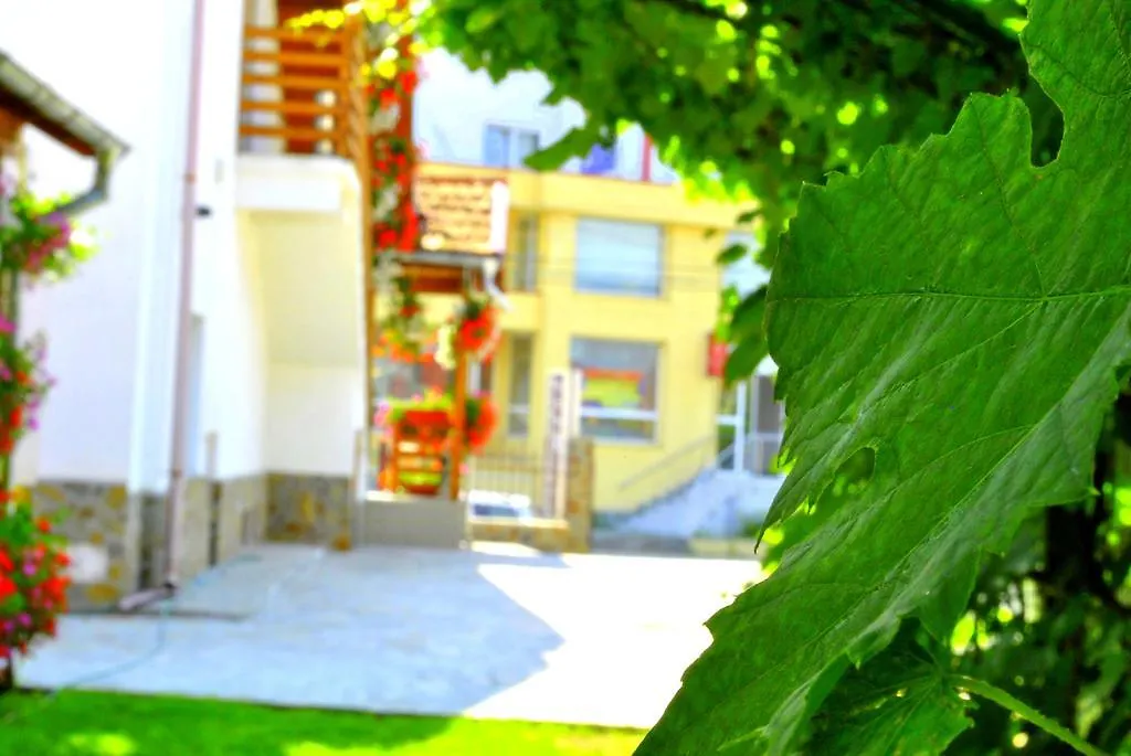 Pensiunea Ruxi-1
