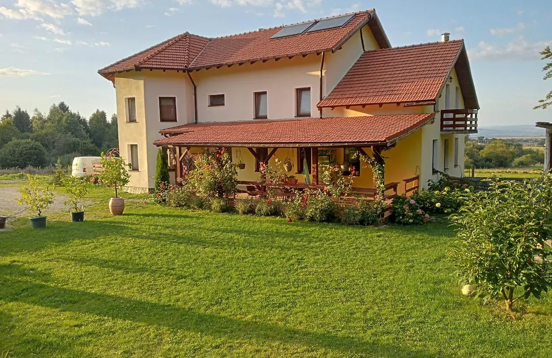 Pensiunea Rozelor Sâmbăta de Sus-1