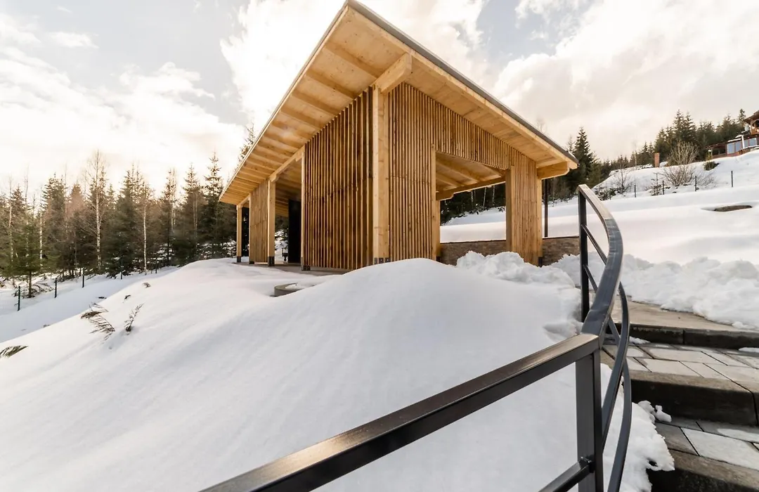Sali Chalet - Villa in Munții Apuseni-1