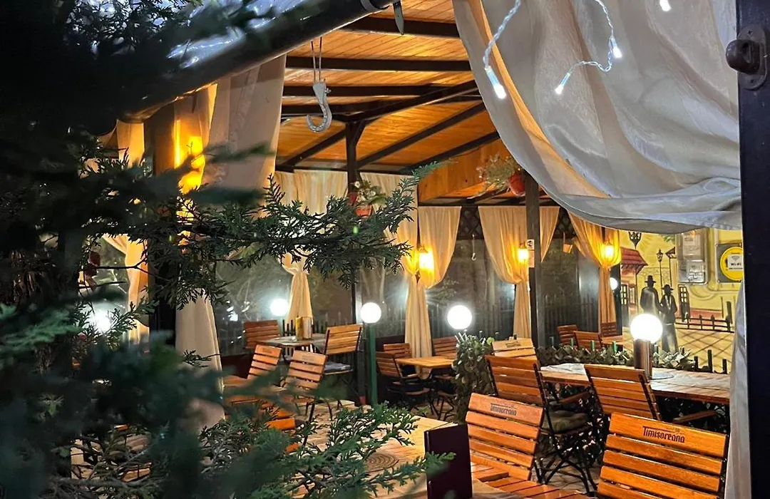 Pensiune Restaurant Arconi-1