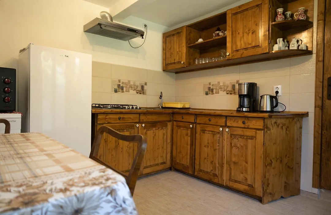 Casa Adina Sibiel-1