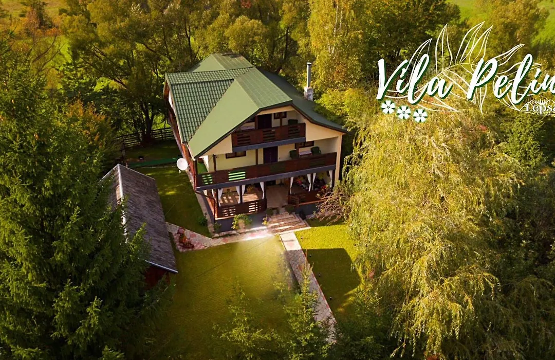 Vila Pelin-1