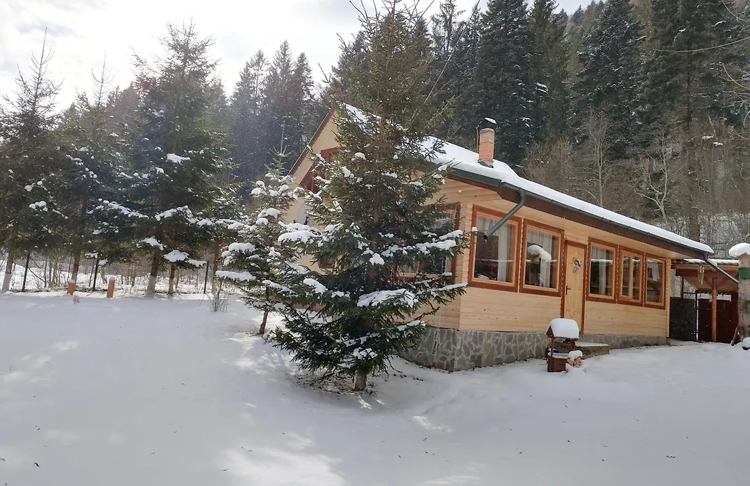 Cabana La Bunici-1