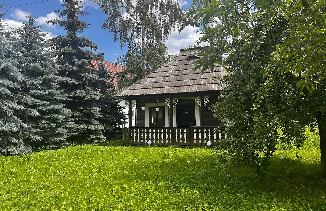 Bucovina Lodge Pension-1